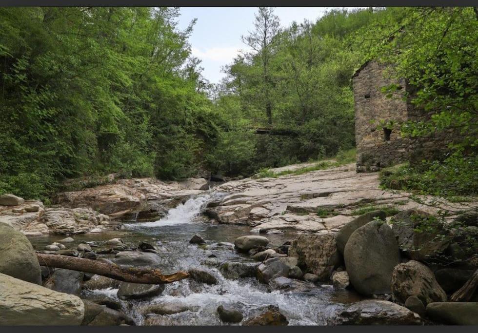 Wayne'S House, A Short Walk To The Waterfalls Bagnone Extérieur photo
